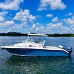 Century 2600 Walk Around LIKE NEW !
