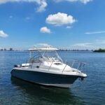Century 2600 Walk Around LIKE NEW !