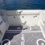 Century 2600 Walk Around LIKE NEW !