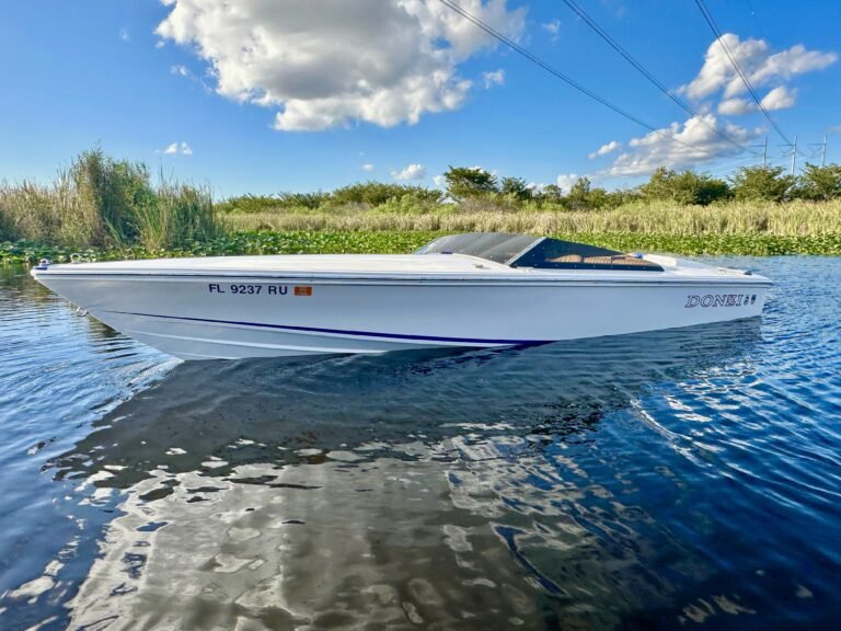 Donzi 22 Classic (EXCELLENT CONDITIONS )