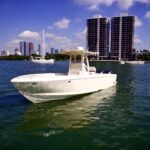 Intrepid 289 Open