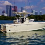 Intrepid 289 Open