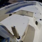 2022 Boston Whaler 250 Dauntless (MINT CONDITION)