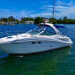 2006 SeaRay 290 Sundancer (LIKE NEW CONDITION)