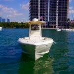 Intrepid 289 Open