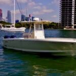 Intrepid 289 Open
