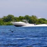 1999 INTREPID 322 (ONLY 300 HOURS)