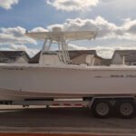 2007 SeaHunt 29 Gamefish