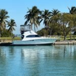 1995 Luhrs 350 Tournament