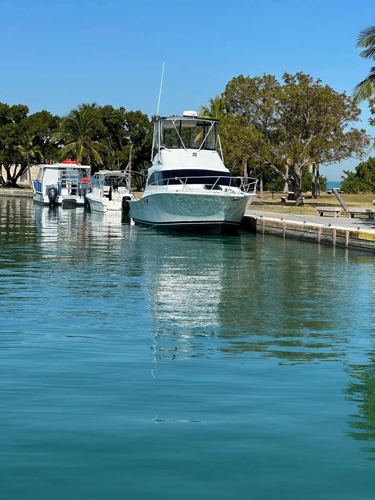 1995 Luhrs 350 Tournament