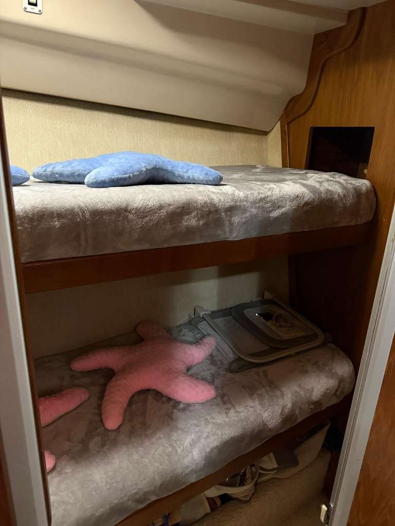 1995 Luhrs 350 Tournament