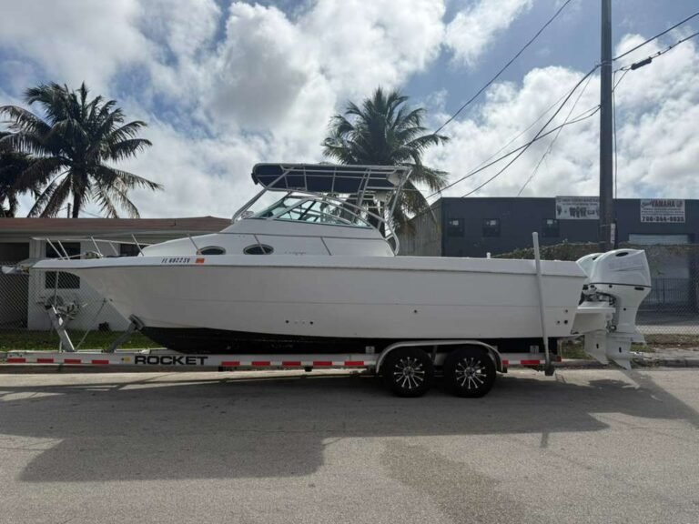 1999 Pro-Line 2610 Walkaround Powered by Twin 2023 Suzuki 200 Hp