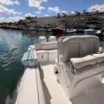 2025 Sea Hunt 265 SE