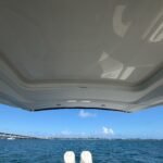 2024 Sea Ray 310 SLX Outboard powered by Twin Mercury 350hp V10