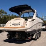 2010 Sea Ray 310 Sundancer
