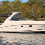 2010 Sea Ray 310 Sundancer
