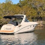 2010 Sea Ray 310 Sundancer