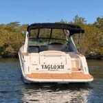 2010 Sea Ray 310 Sundancer