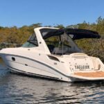 2010 Sea Ray 310 Sundancer