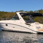 2010 Sea Ray 310 Sundancer
