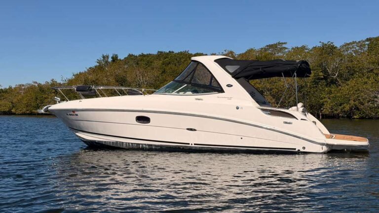 2010 Sea Ray 310 Sundancer