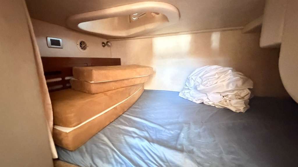 2010 Sea Ray 310 Sundancer