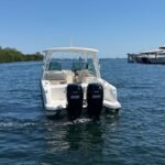 Boston Whaler 270 Vantage