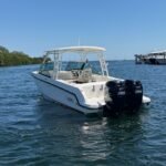 Boston Whaler 270 Vantage