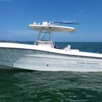 2007 Hydra-Sport 30 PRISTINE CONDITIONS
